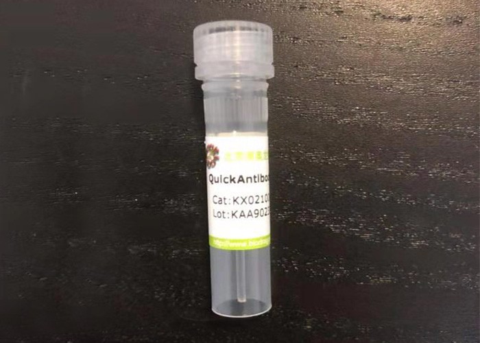 2周快速鼠多抗制备佐剂
