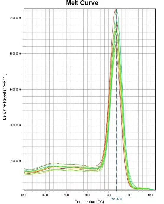 2 x SYBR Green qPCR Mix (