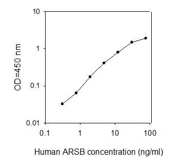 Human Arylsulfatase B/ARSB ELISA(图1)