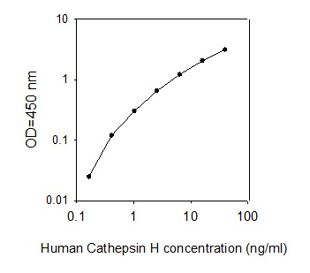 Human Cathepsin H ELISA(图1)