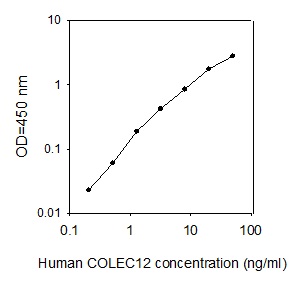 Human Collectin-12/CL-P1 ELISA(图1)