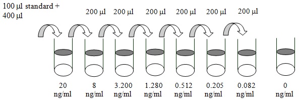 Human Dectin-1(图2)