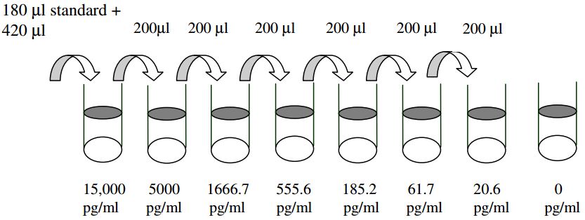  Human IFN-gamma ELISA(图2)