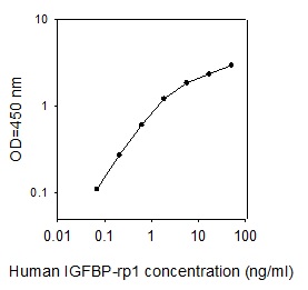 Human IGFBP-rp1/IGFBP-7 ELISA(图1)