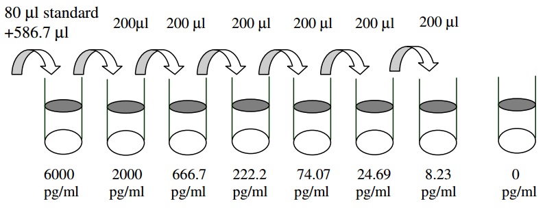 Human MMP-9 ELISA(图2)