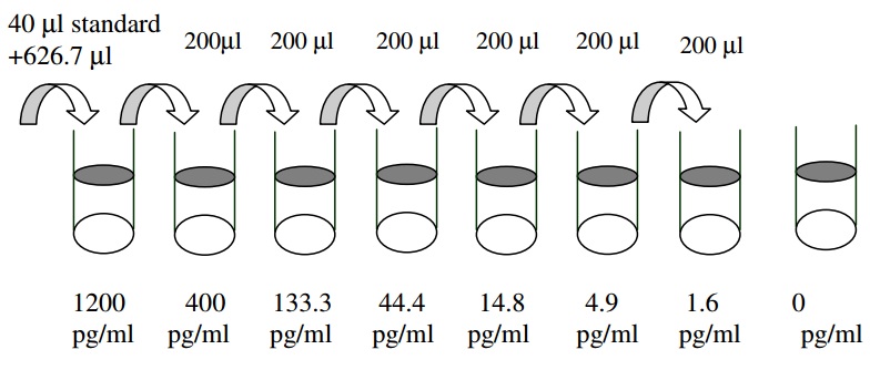 Human TIMP-2 ELISA(图2)